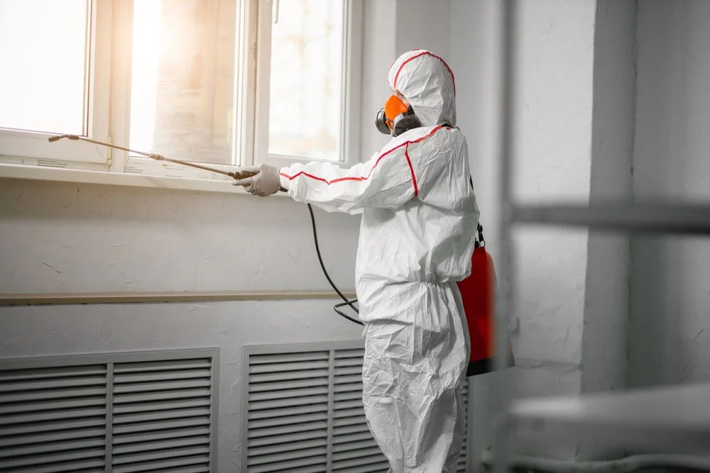 Professional mold remediation services in Daytona Beach, FL